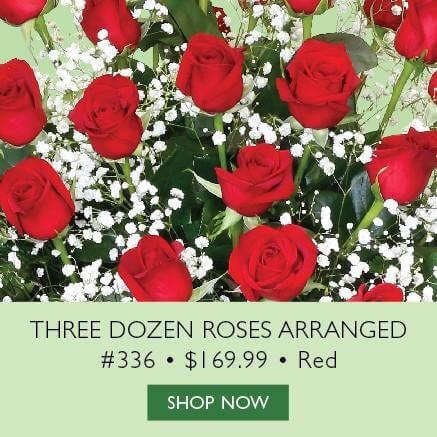 Three Dozen Roses Arranged Item 336 $169.99