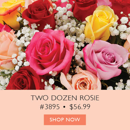 Rosie, Two Dozen Roses Item 3895 $56.99