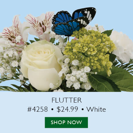 Flutter, White Item 4258 $24.99