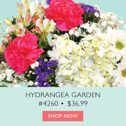 Hydrangea Garden Item 4260 $36.99