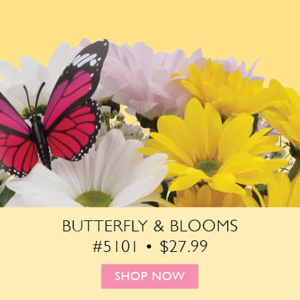 Butterfly & Blooms Item 5101 $27.99
