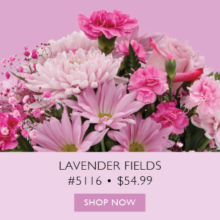 Lavender Fields Item 5116 $54.99