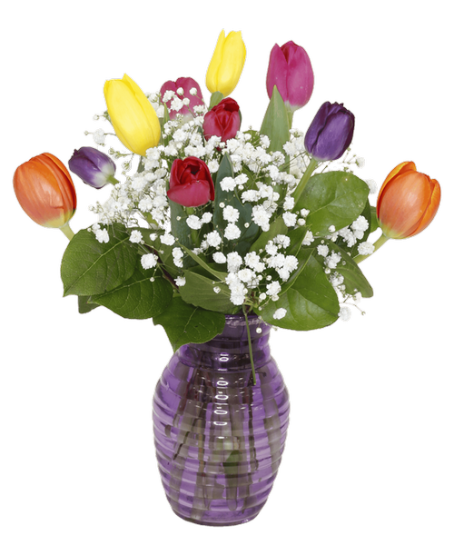 A 7.25 inchH lavender glass vase with a horizontal design holds an all-around arrangement with ten assorted tulips, and baby's breath. 15 inchH x 12 inchW (Tulip colors will vary)