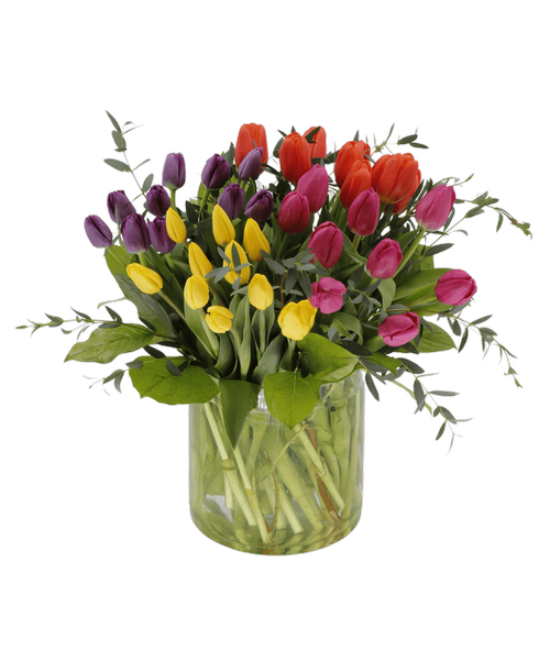 An 8 inch x 8 inch round cylinder vase holds an impressive all around arrangement with forty assorted colored tulips, and greens. 17 inchH x 16 inchW (Tulip colors will vary)