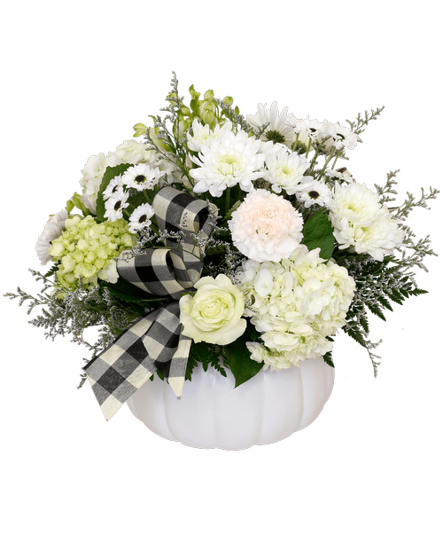 A 10 inch white ceramic pumpkin container holds an all-around arrangement with two roses, hydrangea, a mini green hydrangea, charmelia alstroemeria, cushion poms, yin yang poms, carnations, caspia, and two black and cream checked bows. 14.5 inchH x 12 inchW