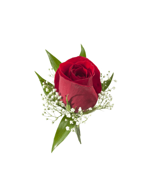 A boutonniere with one Red Rose and babies breath
*** Because of the specialized nature of these products, the order can’t be cancelled after the arrangement is made.