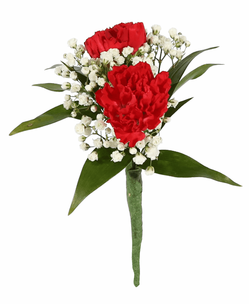 Two red mini carnations with babies breath
*** Because of the specialized nature of these products, the order can’t be cancelled after the arrangement is made.