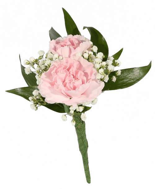 Two pink mini carnations with babies breath
*** Because of the specialized nature of these products, the order can’t be cancelled after the arrangement is made.