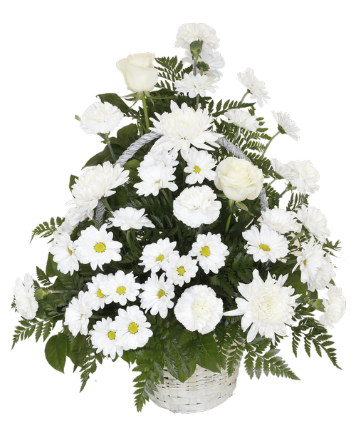 A one-sided basket arrangement suitable to be sent to a funeral or memorial service, in all whites with two roses, carnations, football mums, and daisy poms. 24 inchH x 20 inchW