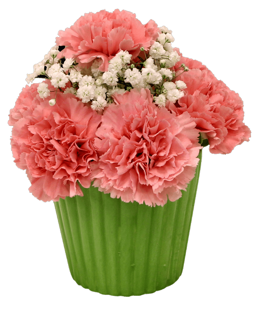 Surprise someone special with this fun arrangement designed in a 3.5 inch ceramic cupcake with carnations, and baby's breath. 7 inchH x 5 inchW