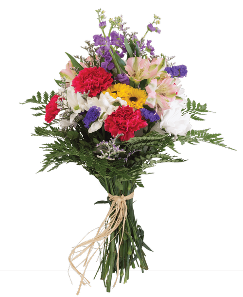 Hand-tied bouquet including carnations, alstroemeria, stock, daisy poms, viking poms, caspia, and statice.