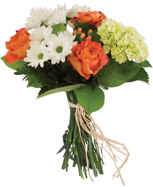 Hand-tied bouquet including four roses, a mini green hydrangea, daisy poms, and hypericum.