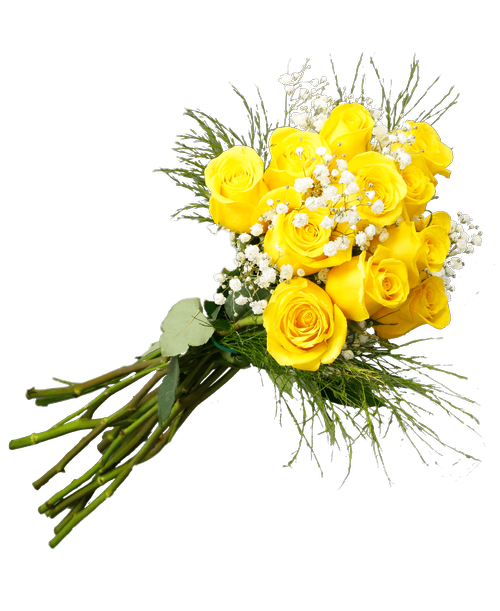 Hand-tied bouquet including twelve yellow roses, baby's breath and tree fern.