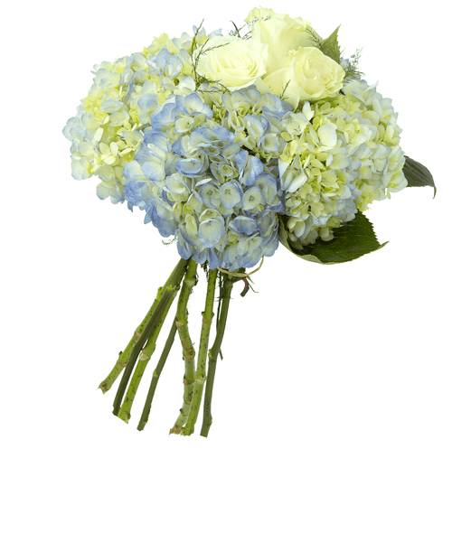 A fresh gathered bouquet with three roses, four hydrangea, caspia, and tree fern.