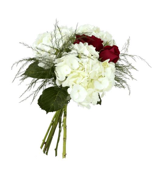 A fresh gathered bouquet with three roses, three hydrangea, and tree fern.