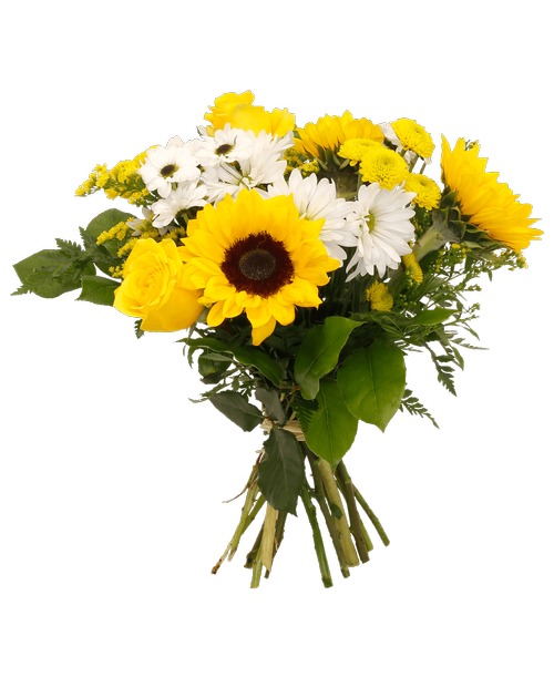 Hand-tied bouquet in yellow and white including two roses, sunflowers, daisy poms, yin yang poms, and solidago.