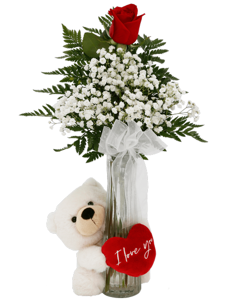 A 9 inchH clear bud vase holds a rose and baby's breath with a sheer bow and includes a 6.5 inch cream plush bear holding a red heart with 'I love you'. 18 inchH x 9 inchW