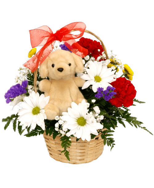 A 5 inch plush dog is surrounded by a 3/4 round arrangement in a basket with carnations, daisy poms and button poms, statice, and baby's breath. 10 inchH x 10 inchW