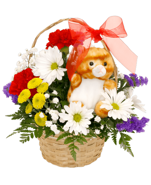 A 5 inch plush cat is surrounded by a 3/4 round arrangement in a basket with carnations, daisy poms and button poms, statice, and baby's breath. 10 inchH x 10 inchW