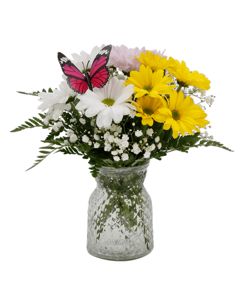 A 5.5 inchH clear glass vase with a diamond pattern holds an all around arrangement with daisy poms, baby's breath, and a butterfly stick in. 11 inchH x 9 inchW