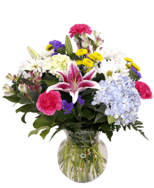 This beautiful arrangement features a variety of fresh flowers in vibrant colors, such as two hydrangeas, a mini green hydrangea, a stargazer lily stem, charmelia, alstroemeria, carnations, daisy poms, button poms, and statice. The flowers are arranged in a 7.75 inch clear glass vase that showcases their beauty and elegance. This is a perfect choice for birthdays, anniversaries, or any other celebration. 20.5 inchH x 14 inchW