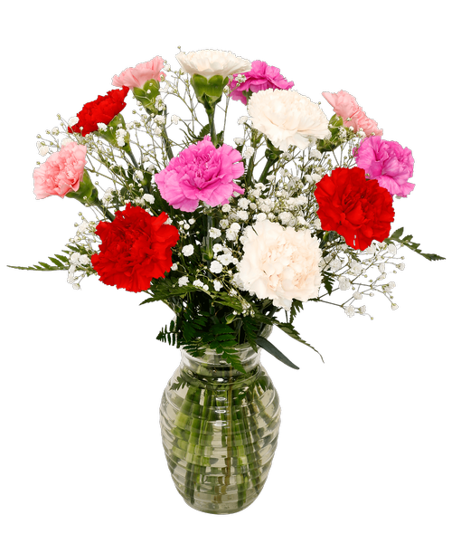 A 7.25 inchH clear glass vase holds an all-around arrangement with twelve assorted colored carnations, and baby's breath. 17” H x 15 inchW 