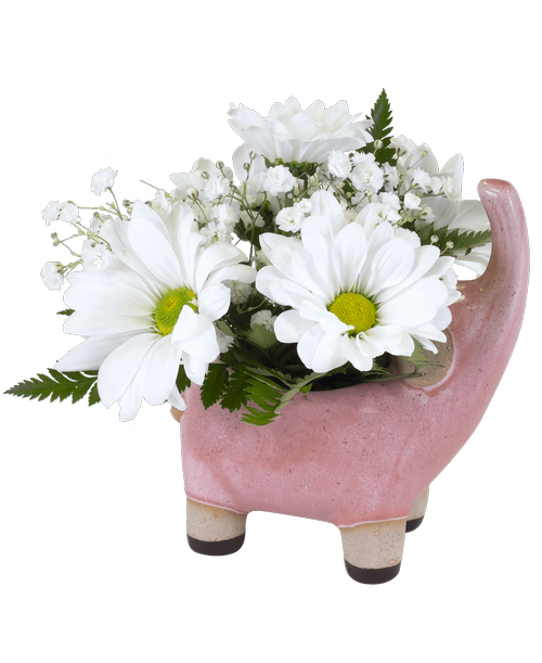 A 5.5 inchH stoneware elephant holds daisy poms and baby's breath. Container color will vary. 6 inchH x 5 inchW