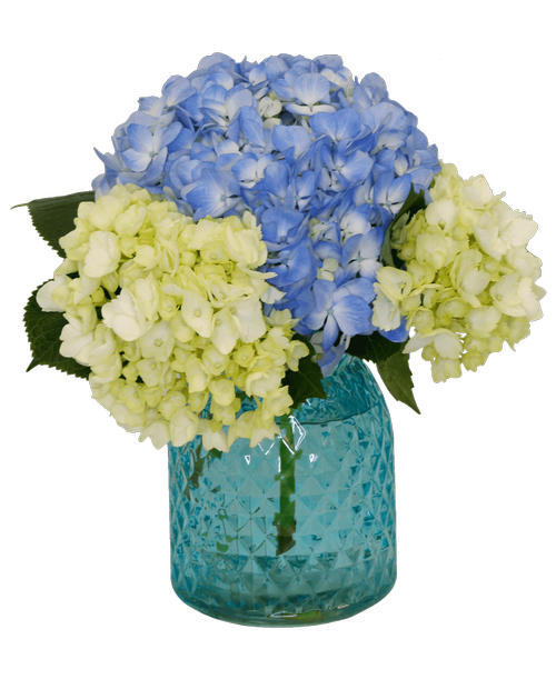 A 5.5 inchH blue glass vase with a diamond pattern holds a blue hydrangea, and three mini green hydrangea. 10 inchH x 9.5 inchW, Overall 12 inchH