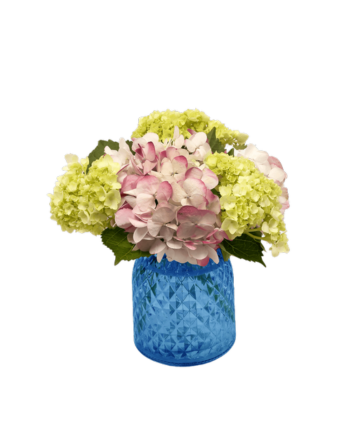 A hand-tied bouquet with a hydrangea, and three mini green hydrangea (5.5 inch blue diamond pattern glass vase included) 10 inchH x 9.5 inchW