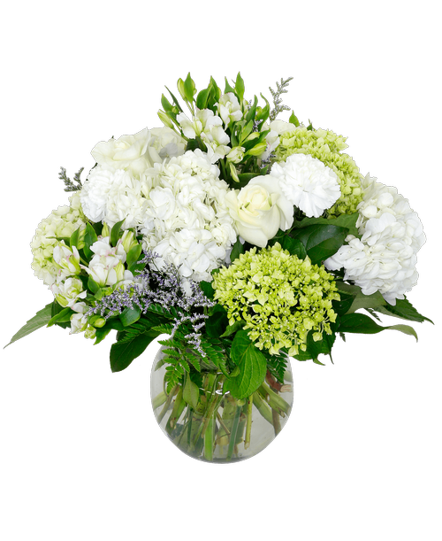 A 7-3/4 glass vase holds an all around arrangement including three roses, hydrangea, mini green hydrangea, charmelia alstroemeria, carnations, and caspia. 17 inchH x 13 inchW