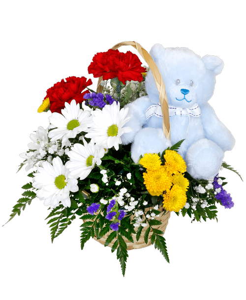 A 7 inch blue plush bear is surrounded by a 3/4 round arrangement in a basket with carnations, daisy and button poms, statice, and babies breath. 10 inchH x 10 inchW