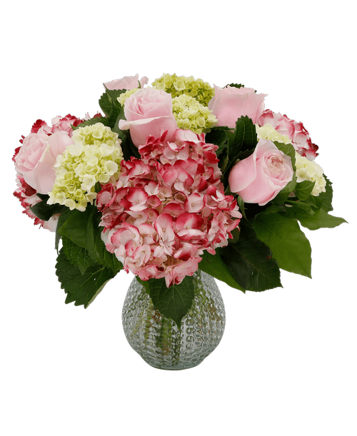 A 7 inch clear dimpled vase holds an all around arrangement including six pink roses, three pink hydrangea, and four mini green hydrangea. 15 inchH x 16 inchW