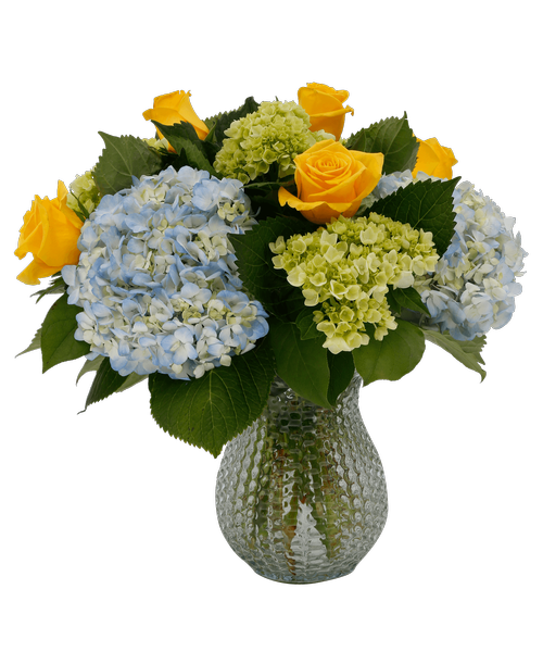 A 7 inch clear dimpled vase holds an all around arrangement including six yellow roses, three blue hydrangea, and four mini green hydrangea. 15 inchH x 16 inchW