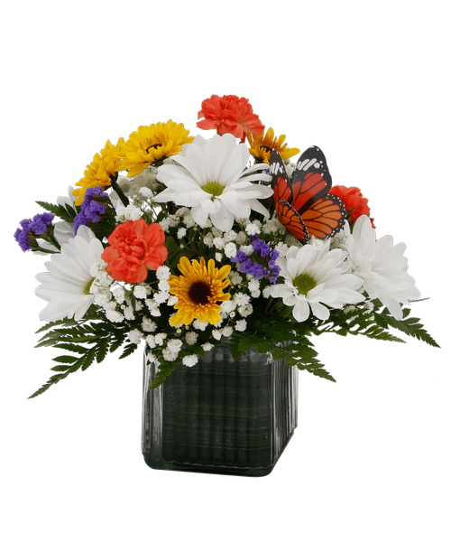 A 4 inch square ribbed clear vase lined with a green leaf patterned ribbon holds an all around arrangement including orange mini carnations, white daisy poms, viking poms, purple statice, baby's breath, and a butterfly stick in. 10 inchH x 10 inchW
