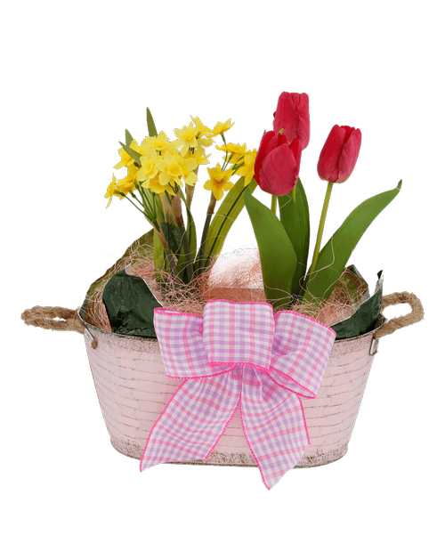 A 5.5 inchH x 12' inchW light pink oval metal pot with rope handles holds a mini daffodil plant and a pink tulip plant. Decorated with pink sisal, and a lavender gingham bow.