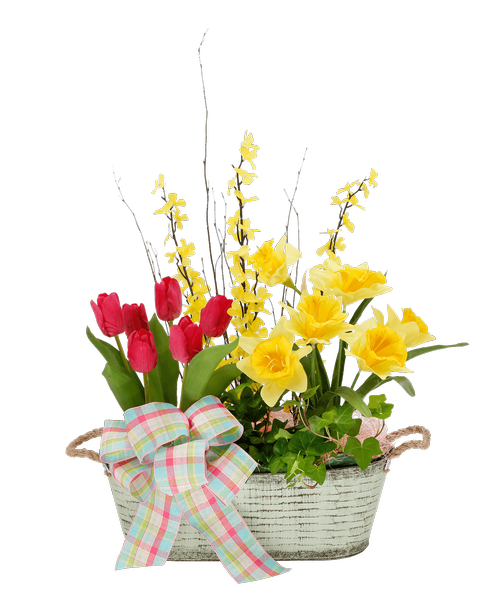 A 5.5 inchH x 16' inchW oval metal pot with rope handles holds a daffodil plant, a pink tulip plant, and an ivy plant. Decorated with silk yellow forsythia, pink sisal, and a pastel colored plaid bow.