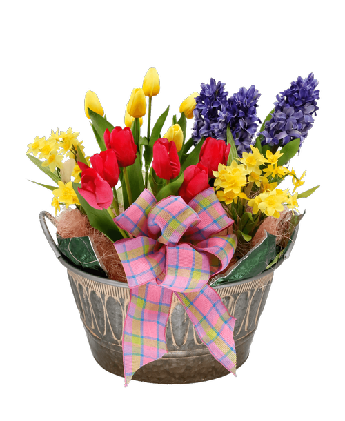 A 7 inchH x 14 inch round metal decorative tin with metal handles holds a pink plant, a yellow tulip plant, two mini daffodil plants, and a blue hyacinth plant. Decorated with pink sisal and a plaid bow.