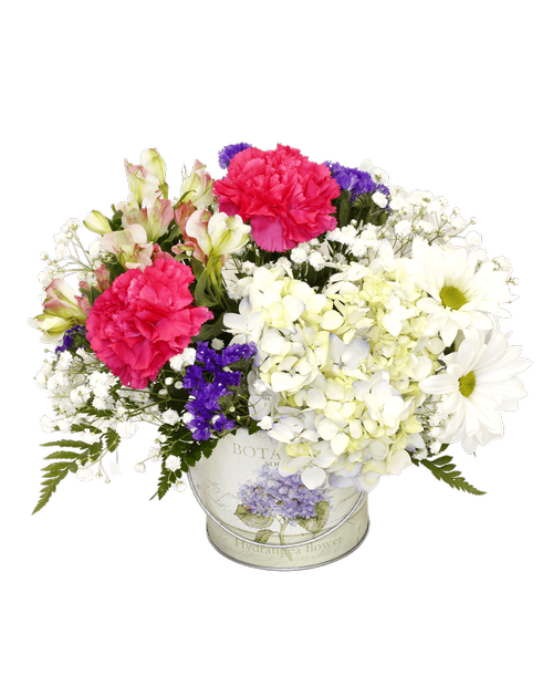A 4.25 inch round decorative hydrangea tin with a handle holds an all around arrangement with a blue hydrangea, pink charmelia alstroemeria, white daisy poms, hot pink carnations, purple statice, and baby's breath. 10 inchH x 11 inchW
