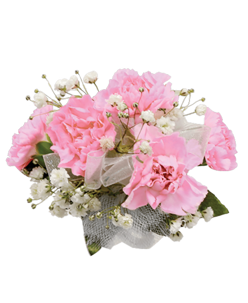 5 pink mini carnations with babies breath. Designed as a wrist corsage
*** Because of the specialized nature of these products, the order can’t be cancelled after the arrangement is made.