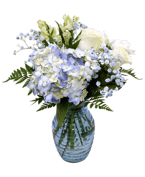A 7.25 inchH blue glass vase with a horizontal design holds an all-around arrangement with two white roses, a blue hydrangea, white charmelia alstroemeria, white daisy poms, and blue-dyed baby's breath. 13 inchH x 9 inchW