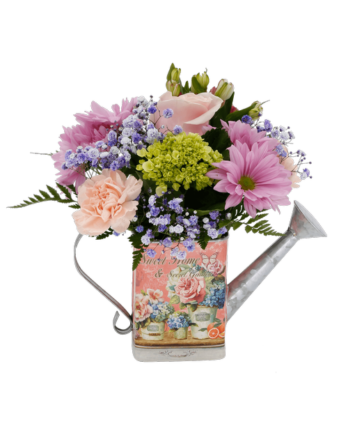 A 6 inch metal watering can and a garden design and saying 'Sweet Home & Secret Garden inch holds an all around arrangement with a pink rose, a mini green hydrangea, peach carnations, pink charmelia alstroemeria, lavender daisy poms, and purple dyed baby's breath. 10 inchH x 9 inchW