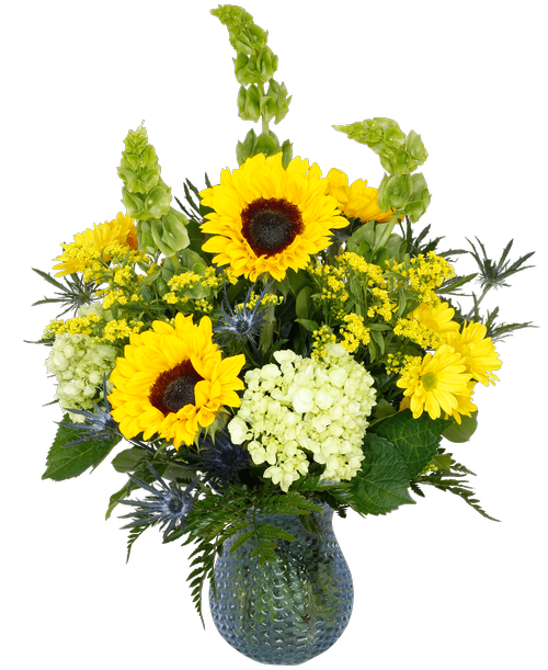 An 8 inch blue pebbled vase holds an all around arrangement with sunflowers, Bells of Ireland, mini green hydrangea, yellow daisy poms, blue eryngium, and solidago. Overall 24 inchH x 16 inchW