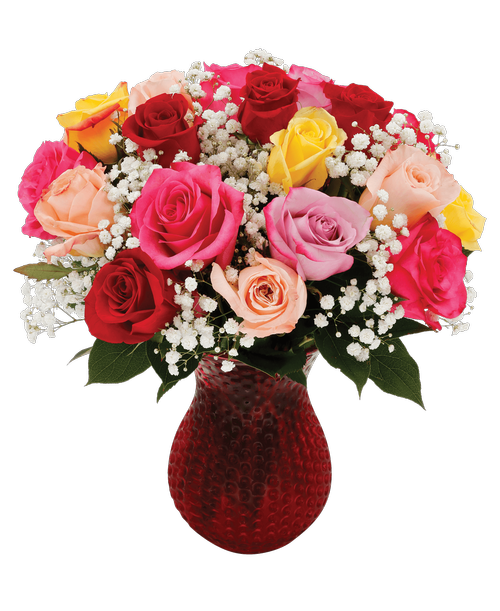 A 7 inch red dimpled glass vase holds an all-around arrangement with two dozen 40cm colored roses and baby's breath. 15 inchH x 12 inchW (Rose colors will vary)