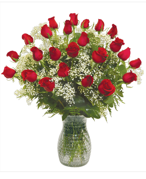 A striking arrangement of two dozen long-stemmed red roses with baby's breath and greens in a 10 inchH pebbled glass vase. 28 inchH x 24 inchW