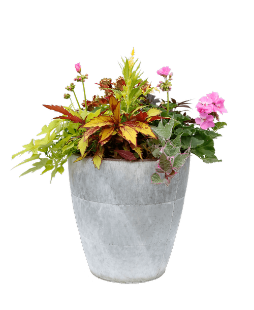 A 14.25 inch round galvanized pot holds assorted annual plants.