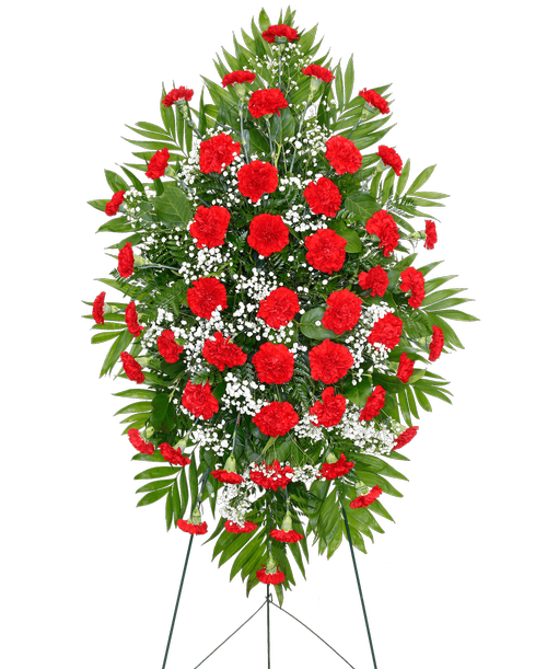 A standing spray from our Traditional Funeral Collection, suitable to be sent to a funeral or memorial service, with carnations and babies breath. 42 inchL x 27 inchW - Displayed on a 54 inch Easel