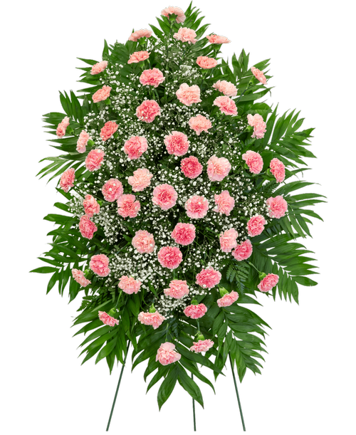 A standing spray from our Traditional Funeral Collection, suitable to be sent to a funeral or memorial service, with carnations and babies breath. 42 inchL x 27 inchW - Displayed on a 54 inch Easel