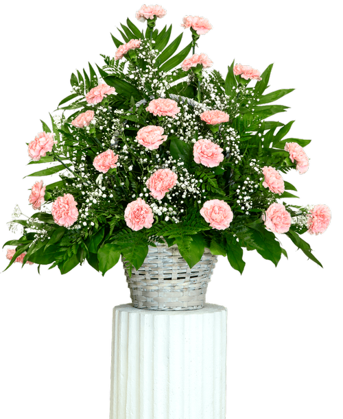 A one-sided arrangement from our Traditional Funeral Collection, suitable to be sent to a funeral or memorial service, with carnations and babies breath designed in a 9 inch basket. 27 inchH x 27 inchW