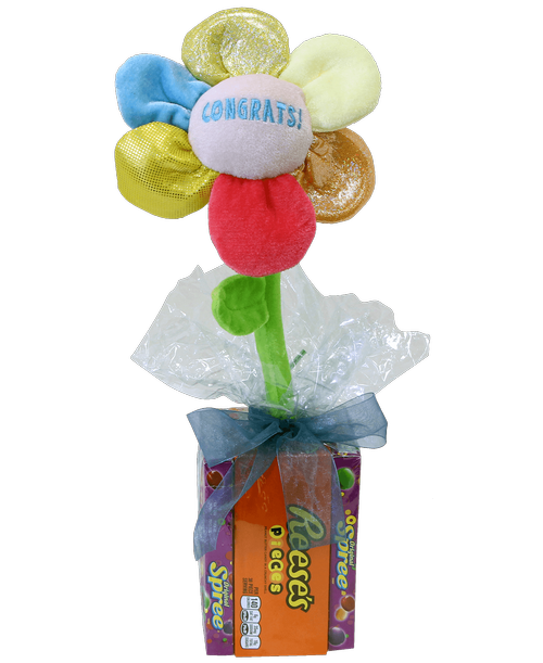 A 'Congrats' plush flower is 'planted' in the middle of four boxes of candy, and gift wrapped with a bow. 18 inchH x 10 inchW (boxed candy styles may vary)