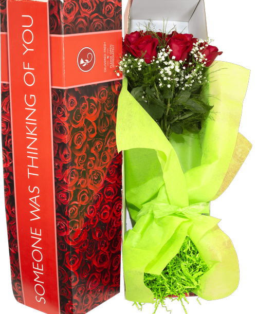 One dozen red roses and babies breath, carefully packed and delivered in box with included vase. 